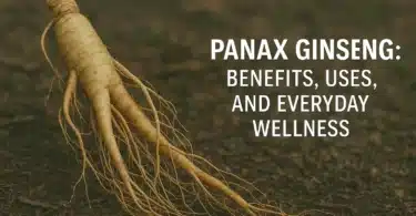 Panax Ginseng Benefits, Uses, and Everyday Wellness