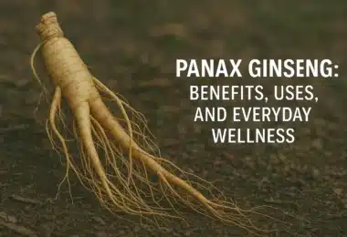 Panax Ginseng Benefits, Uses, and Everyday Wellness