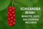 Schisandra Berry Benefits, Uses, and Everyday Wellness