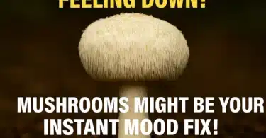 Lion’s Mane, mood food, functional mushrooms, brain health, natural mood booster, adaptogen recipes, mushroom cooking, mental wellness