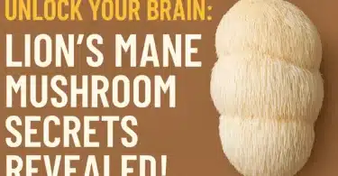 Unlock Your Brain Lion’s Mane Mushroom Secrets Revealed!