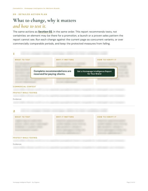Detailed action plan page; complete recommendations are reserved for paying clients