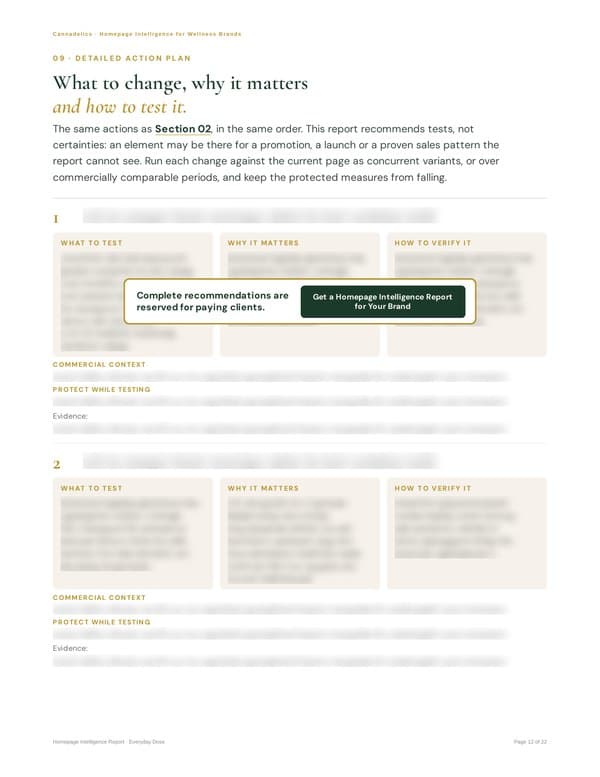 Detailed action plan page; complete recommendations are reserved for paying clients