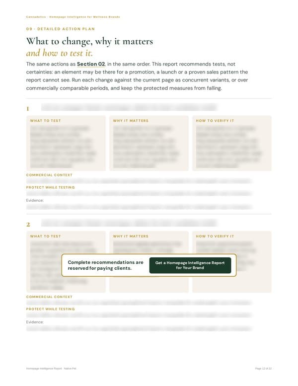Detailed action plan page; complete recommendations are reserved for paying clients
