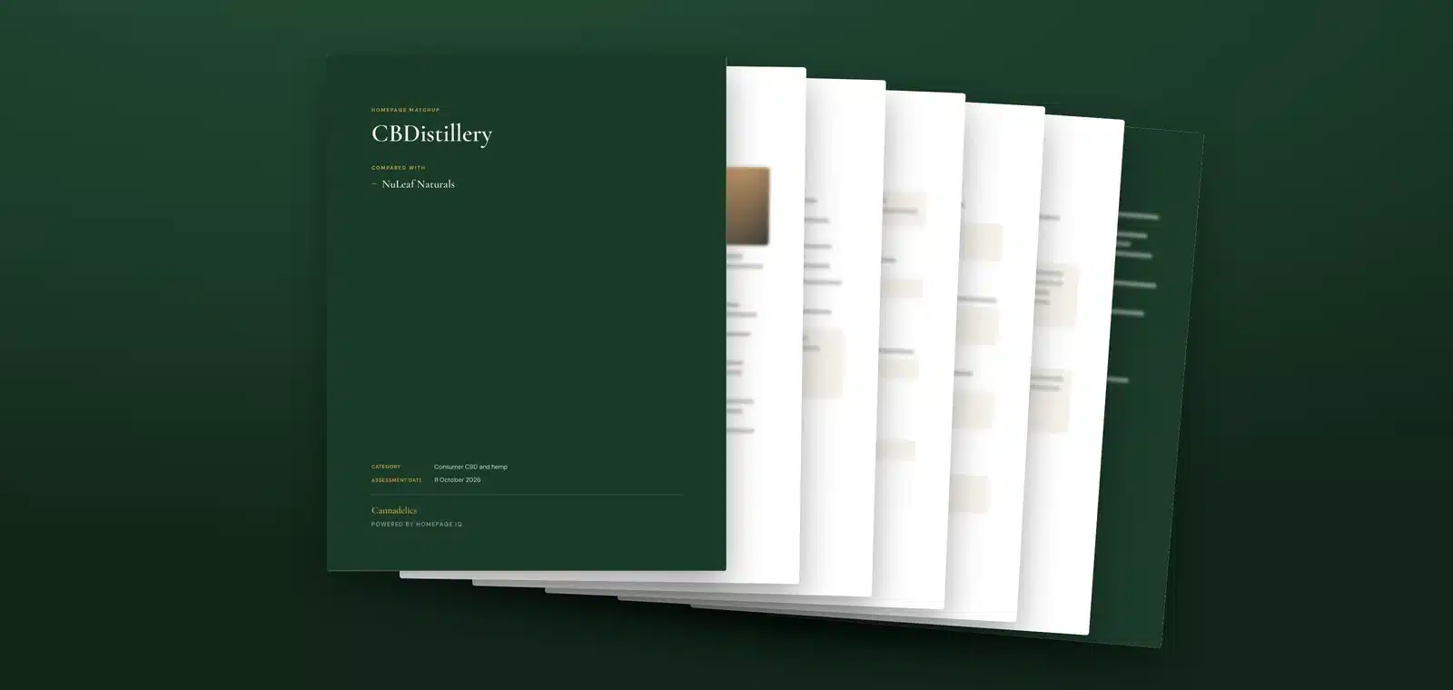 A Homepage Matchup shown with its cover and a fan of sample inside pages.